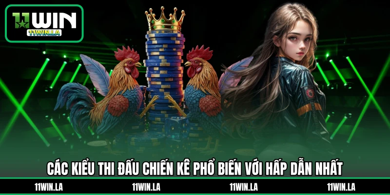 Các kiểu thi đấu chiến kê phổ biến với hấp dẫn nhất