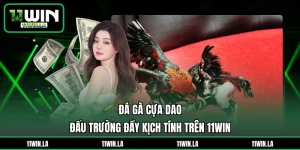Đá Gà Cựa Dao – Đấu Trường Đầy Kịch Tính Trên 11WIN