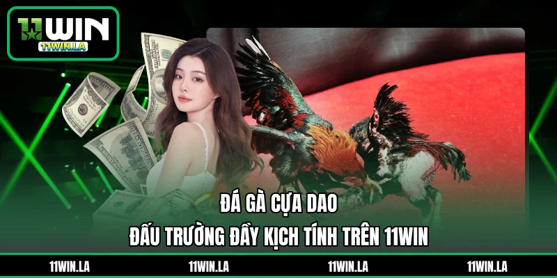 Đá Gà Cựa Dao – Đấu Trường Đầy Kịch Tính Trên 11WIN