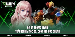Đá Gà Thomo 11WIN - Trải Nghiệm Tốc Độ, Chốt Kèo Cực Chuẩn