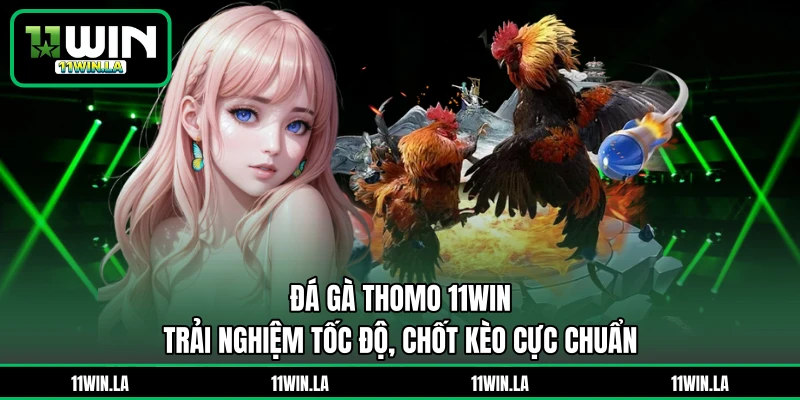 Đá Gà Thomo 11WIN - Trải Nghiệm Tốc Độ, Chốt Kèo Cực Chuẩn