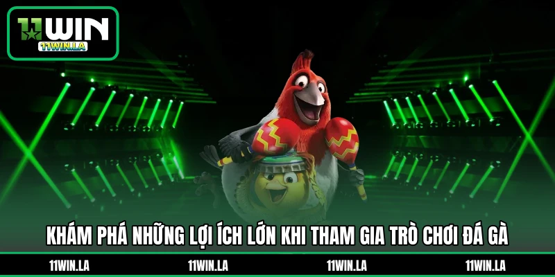 Khám phá những lợi ích lớn khi tham gia trò chơi đá gà