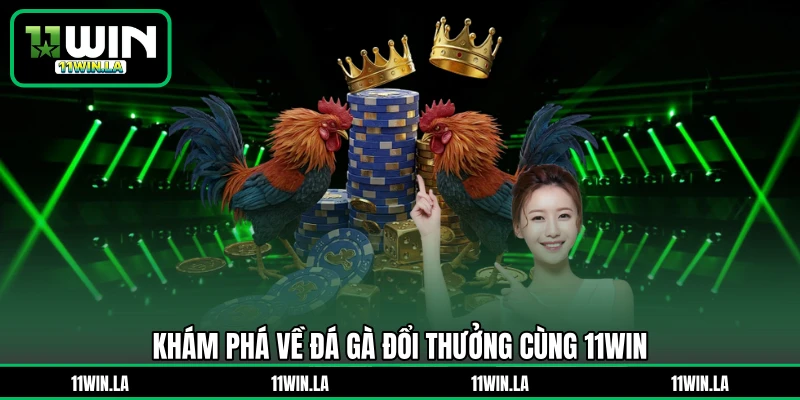 Khám phá về đá gà đổi thưởng cùng 11WIN
