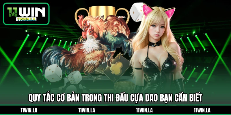 Quy tắc cơ bản trong thi đấu cựa dao bạn cần biết