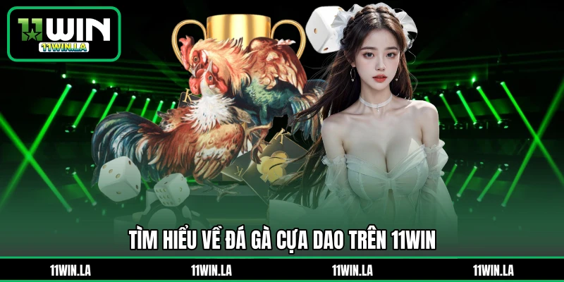 Tìm hiểu về đá gà cựa dao trên 11WIN