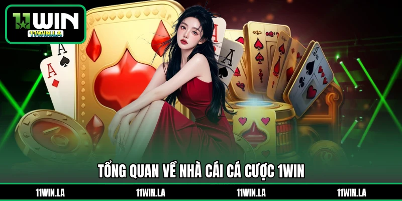 Tổng quan về nhà cái cá cược 1WIN