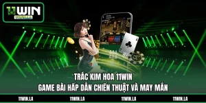 Trác Kim Hoa 11WIN - Game Bài Hấp Dẫn Chiến Thuật Và May Mắn